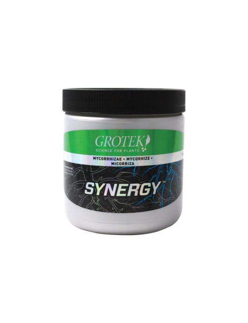Synergy(TM)