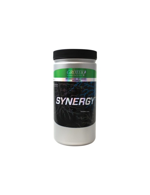 Synergy(TM)
