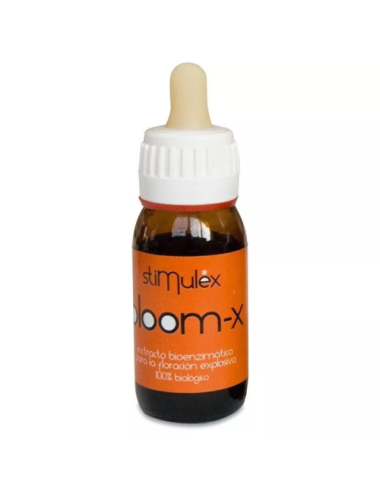 Bloom-x