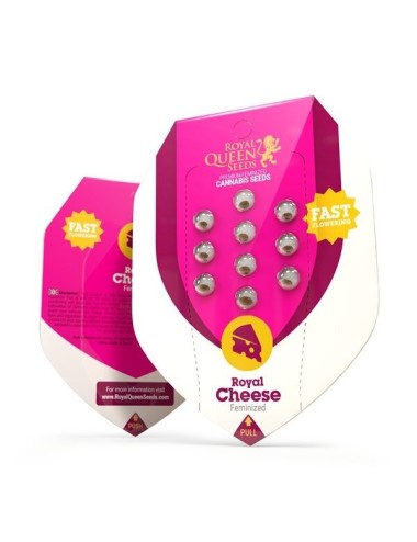 Royal cheese (fast flowering)
