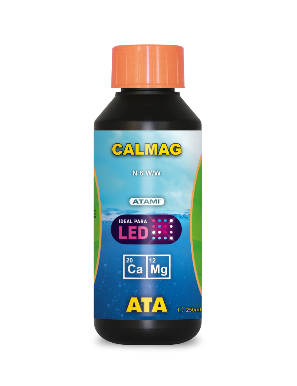 Ata calmag