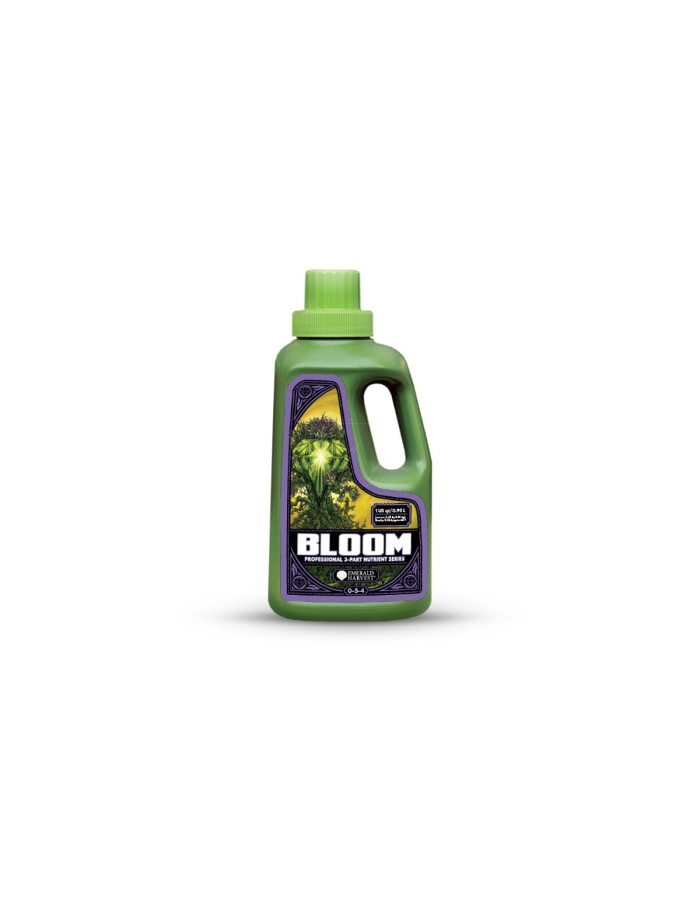 Bloom prof 3 part