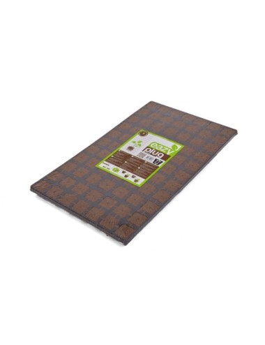 Bandeja dried eazy plug (3,5 x 3,5 x 3 cm) 77 alv hga