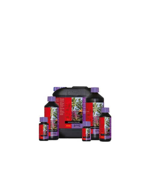 B'cuzz coco bloom stimulator