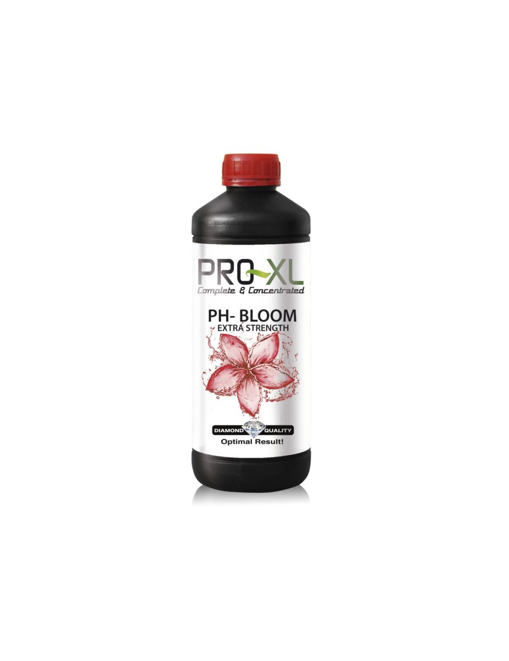 Ph - bloom