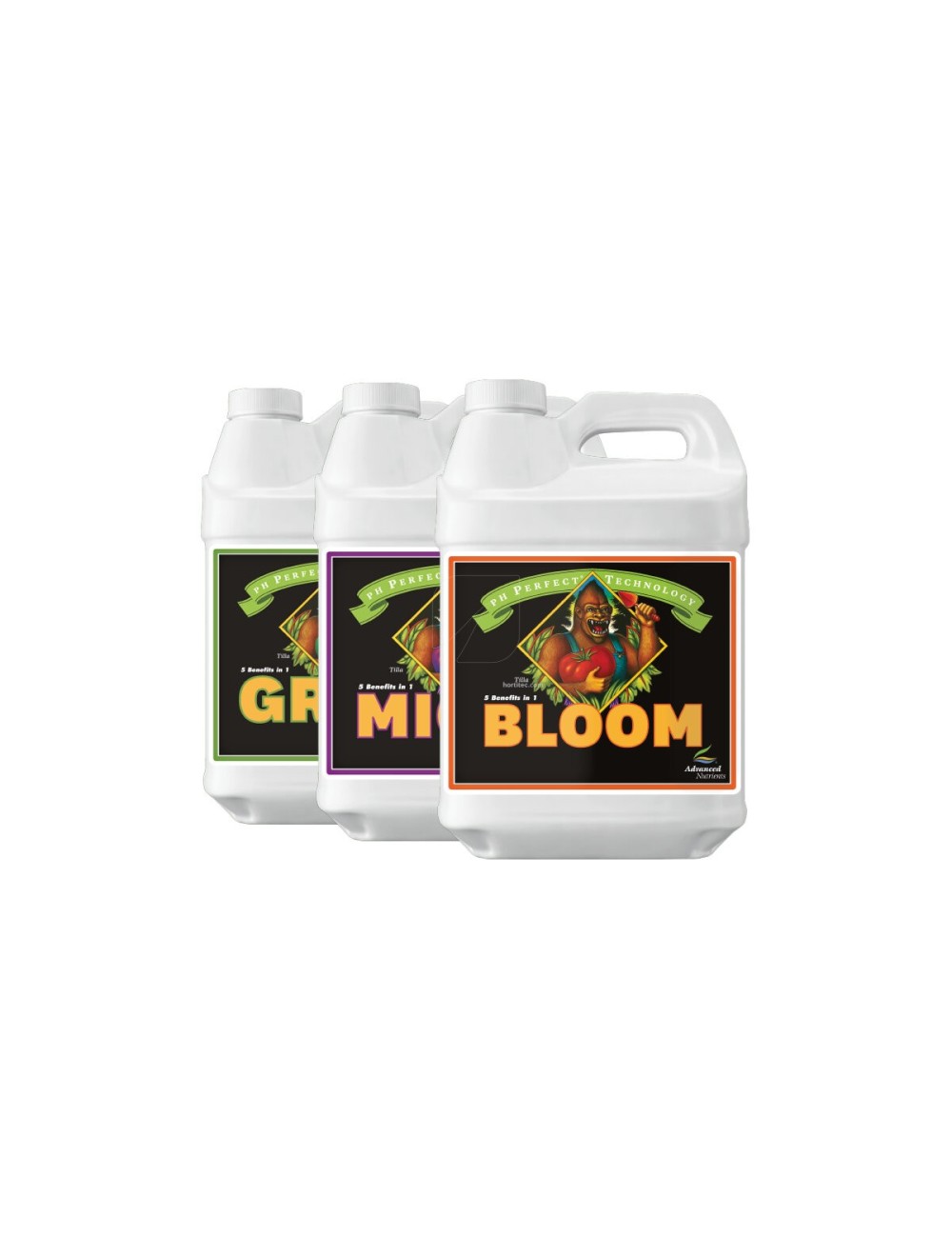 Ph perfect bloom