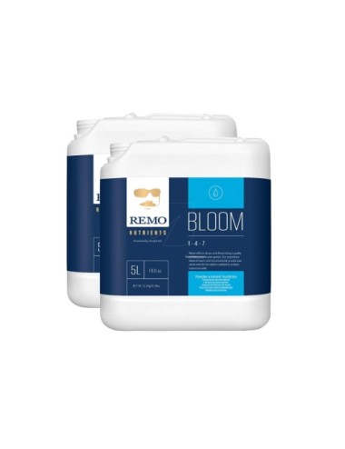Bloom