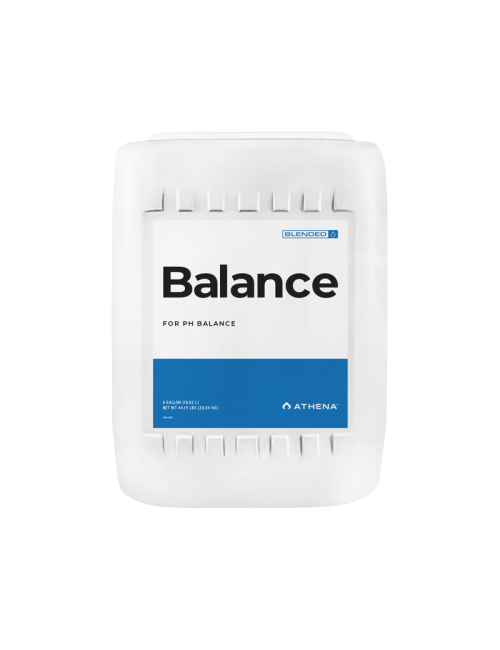 Balance