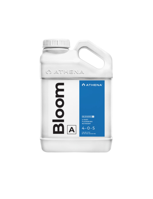 Bloom a