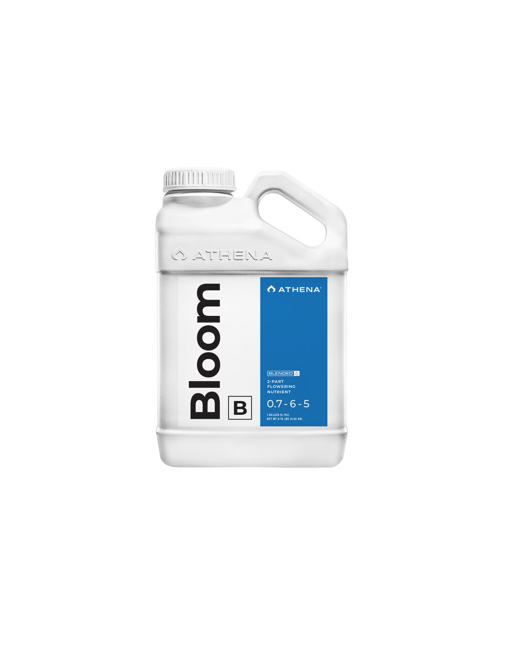 Bloom b