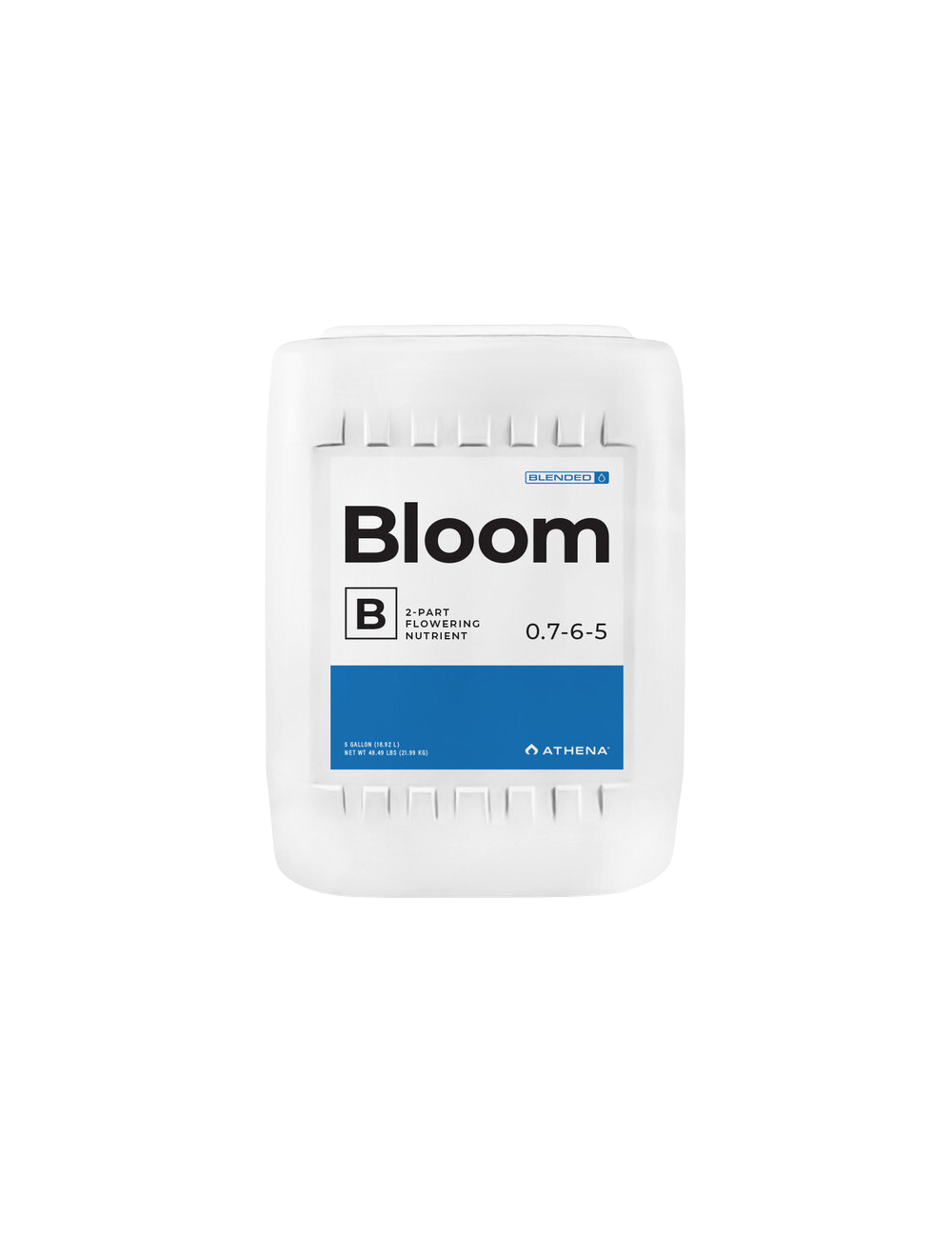 Bloom b