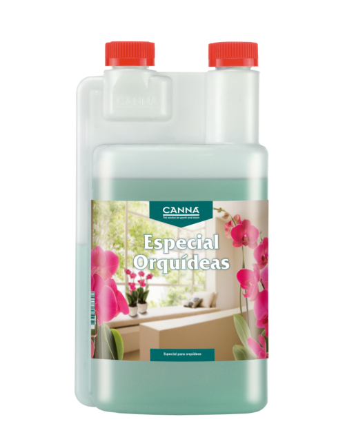 Especial orquídeas