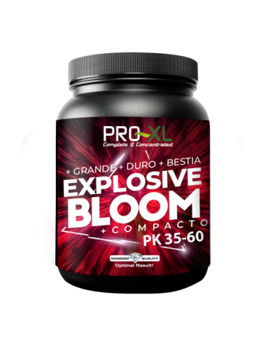Explosive bloom
