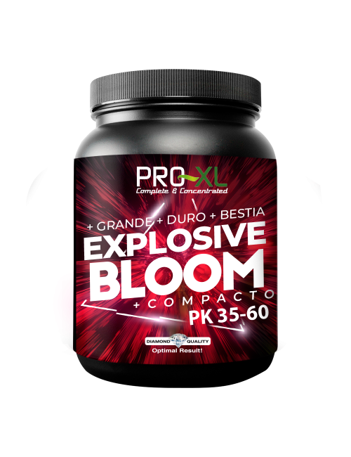 Explosive bloom