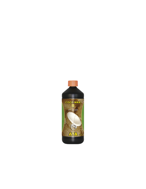 Coco max b