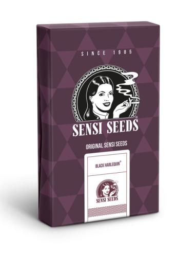 Black harlequin cbd (10) sensi seeds