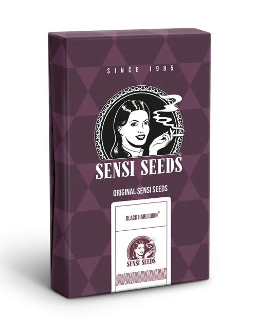 Black harlequin cbd (10) sensi seeds