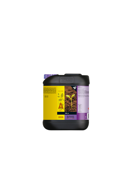 Tierra a b'cuzz