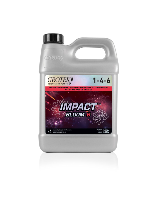 Impact bloom b