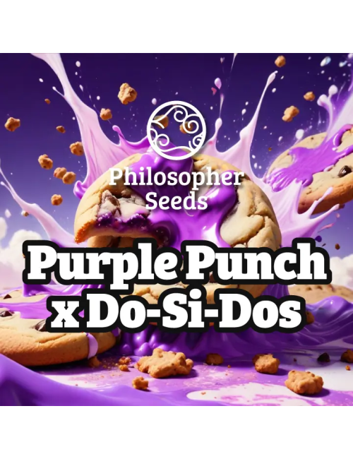 Purple punch x do-si-dos (5) philosopher seeds