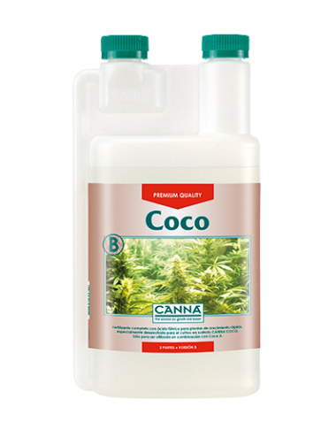 Coco b