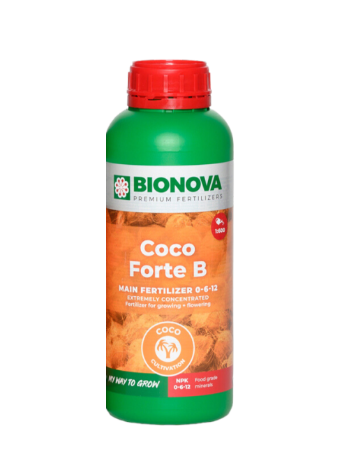 Coco forte b