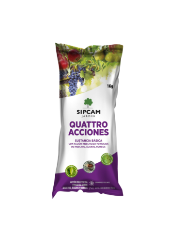 Quattro acciones
