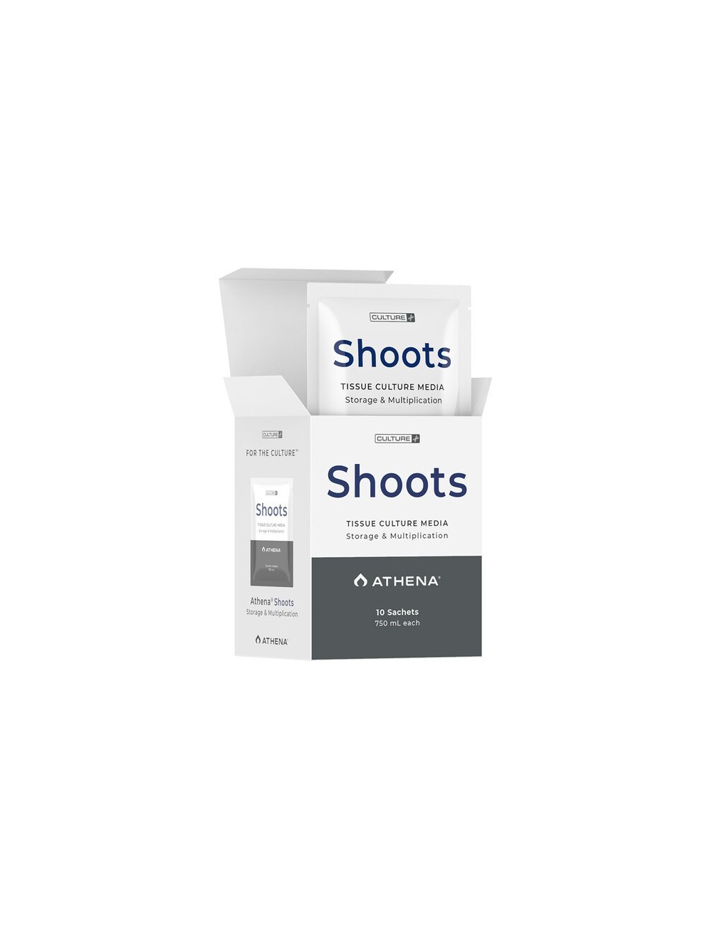 Shoots culture media