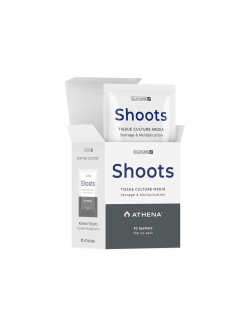 Shoots culture media