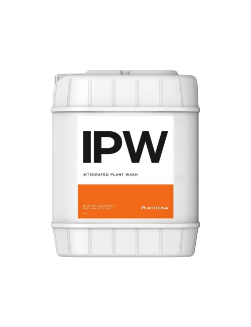 Ipw