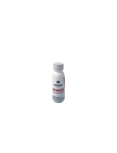 Epinsel insecticida sistémico líquido sipcam