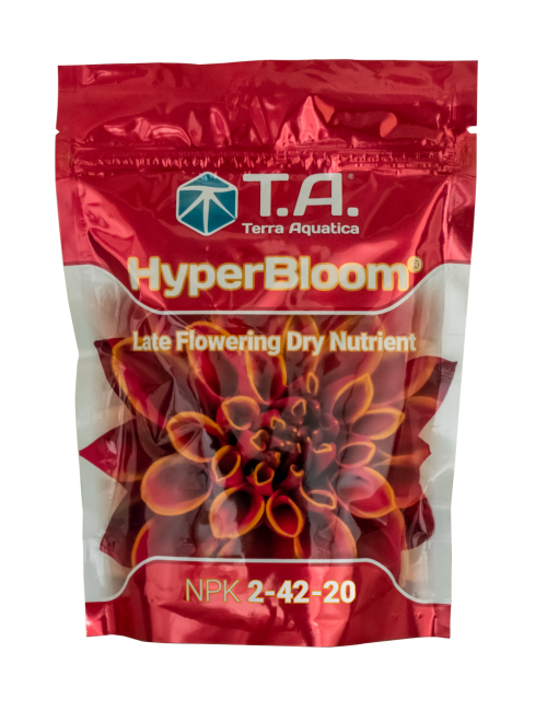 Hyperbloom