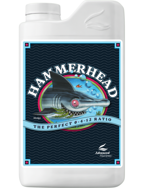 Hammerhead