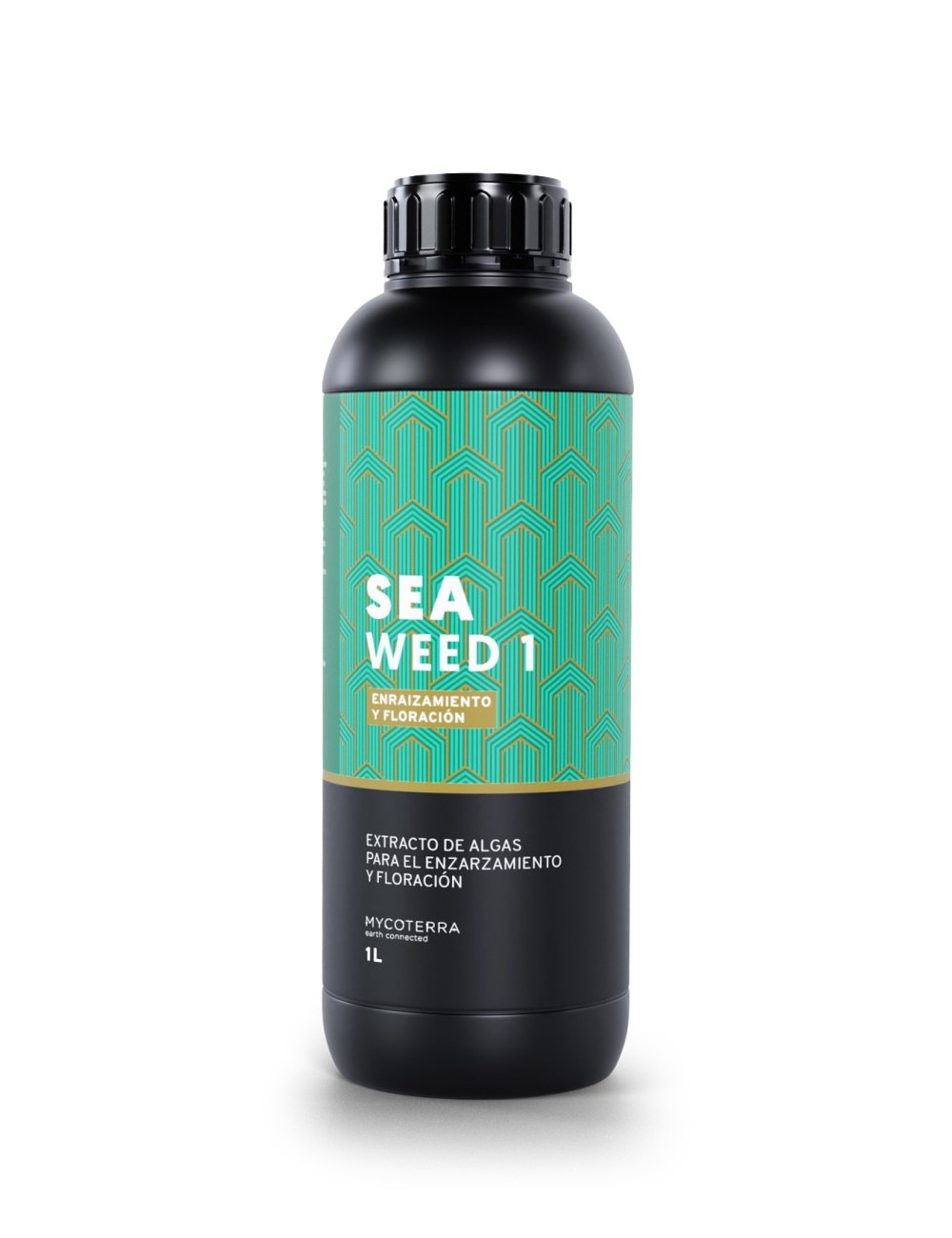 Sea weed 1