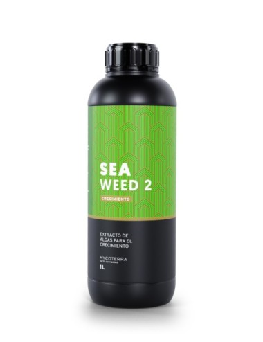 Sea weed 2