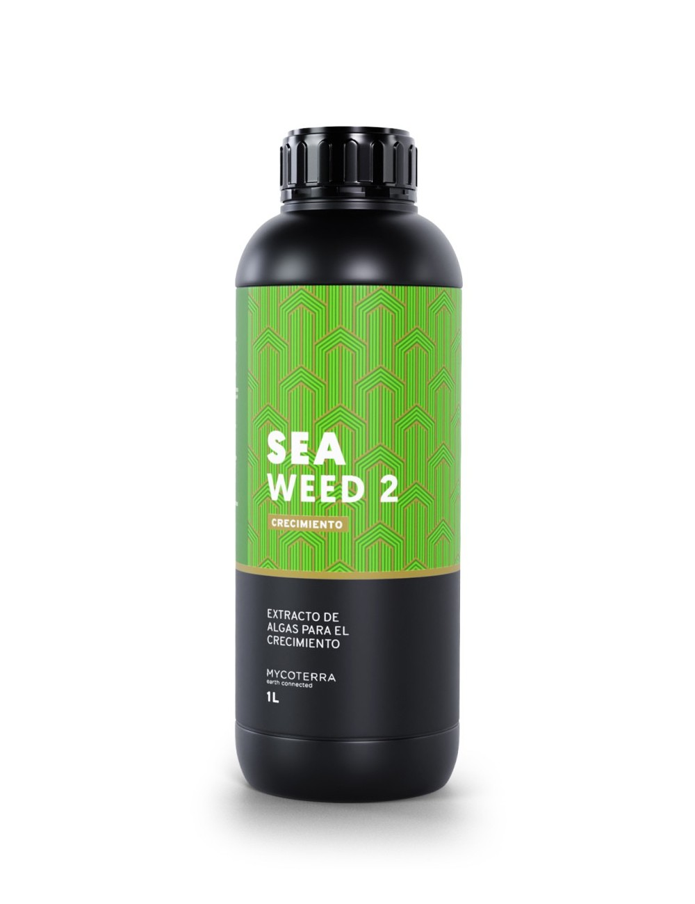 Sea weed 2