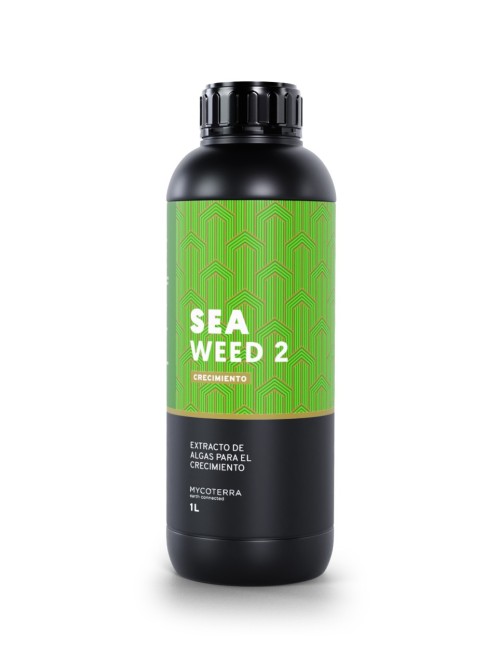 Sea weed 2