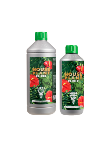 House plant elixir