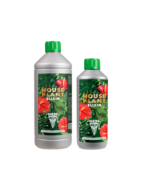 House plant elixir
