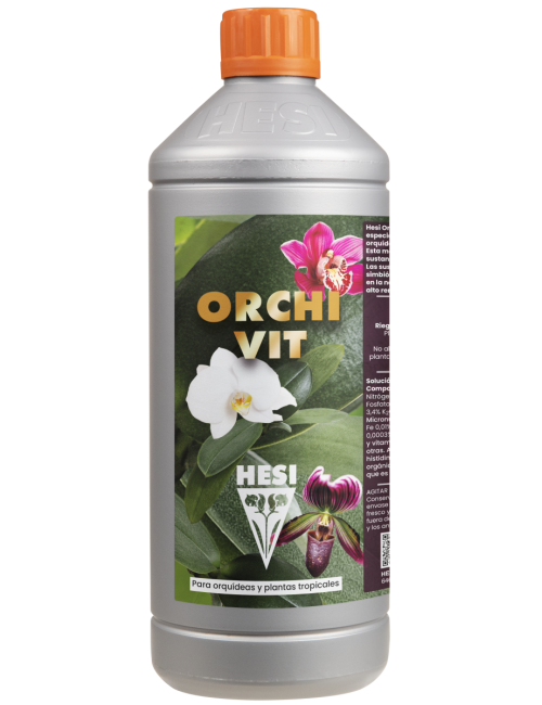 Orchivit hesi