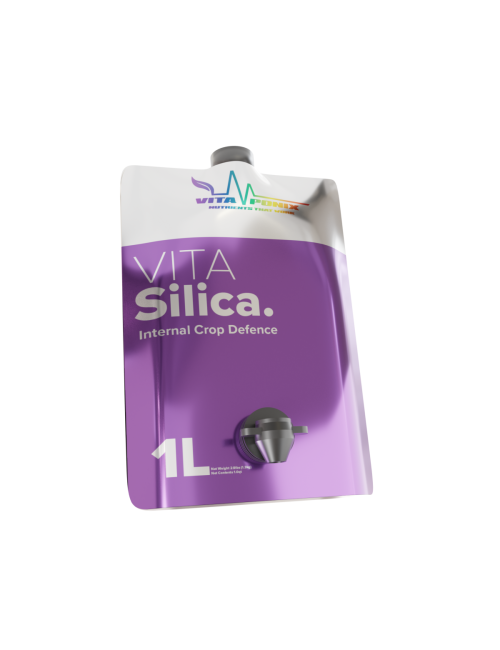 Vitasilica vitaponix