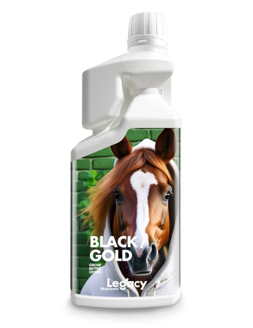 Black gold legacy