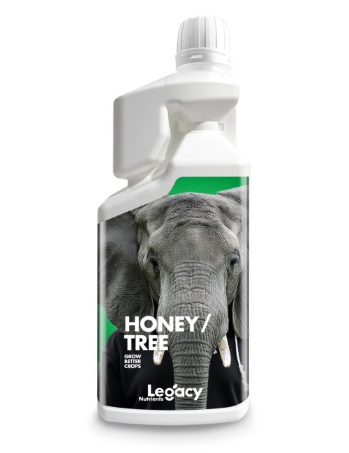 Honey tree legacy