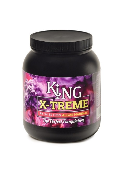 King x-treme trabe
