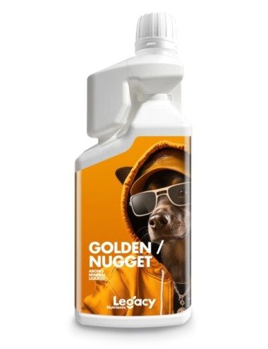 Golden nugget legacy