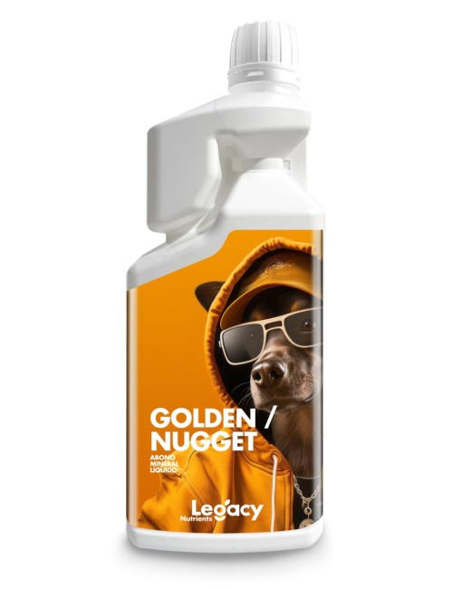 Golden nugget legacy