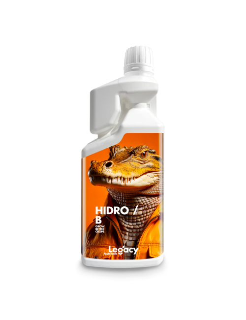 Hidro b legacy