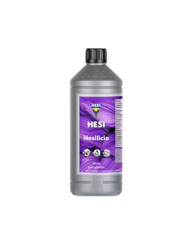 Hesilicio hesi