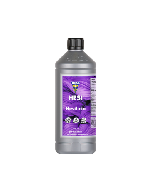 Hesilicio hesi