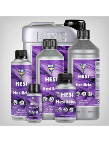 Hesilicio hesi